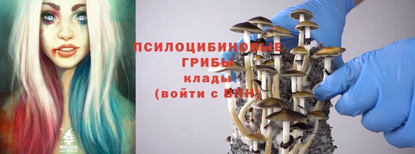винт Зеленокумск