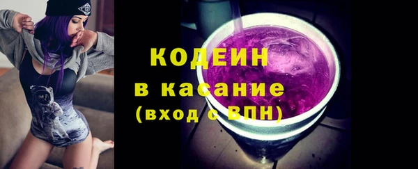 дживик Инта