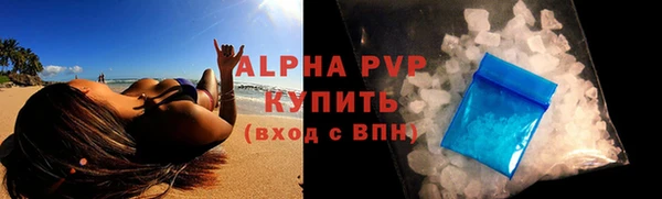 дживик Инта
