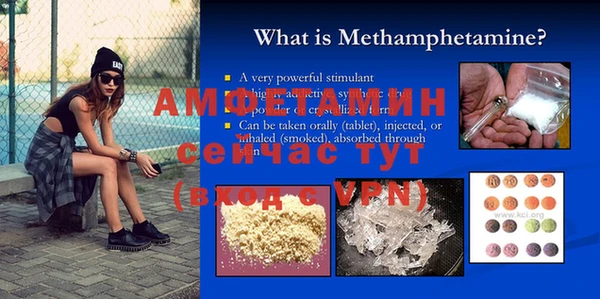 дживик Инта