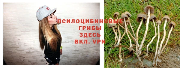 синтетический гашиш Зеленодольск