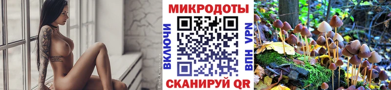 цена   Петрозаводск  Галлюциногенные грибы прущие грибы 