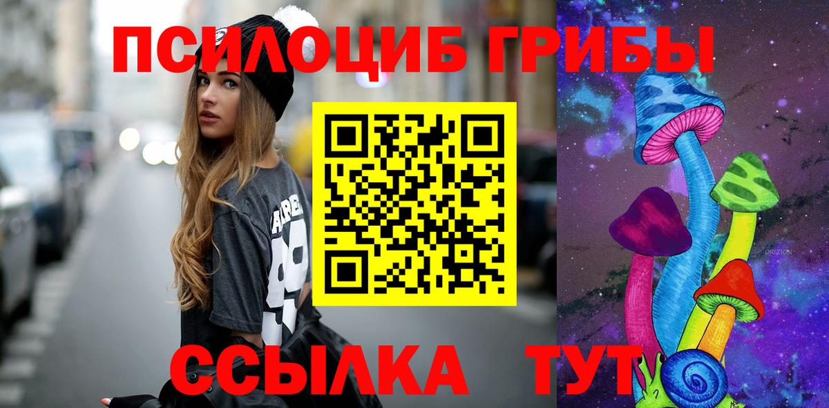 Псилоцибиновые грибы GOLDEN TEACHER  наркотики  Вход с VPN  Петрозаводск  Псилоцибиновые грибы ЛСД 